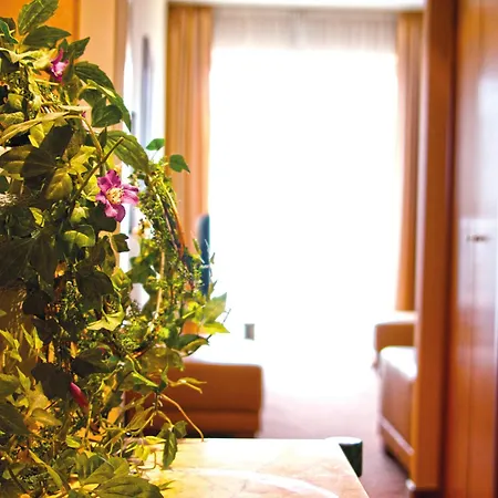 Mercure 4*